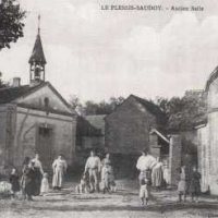 Saudoy