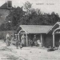 Saudoy